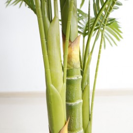 PALM TREE NP5506_180_22 ΥΨΟΣ 180cm NewPlan