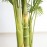 PALM TREE NP5506_180_22 ΥΨΟΣ 180cm NewPlan
