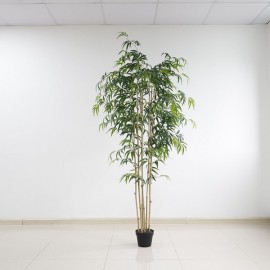 BAMBOO NP0070_210 ΥΨΟΣ 210cm NewPlan