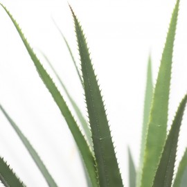 AGAVE TREE NP802_160 ΥΨΟΣ 160cm NewPlan