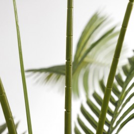 PALM TREE NP5500_240_22 ΥΨΟΣ 240cm NewPlan