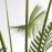 PALM TREE NP5500_240_22 ΥΨΟΣ 240cm NewPlan