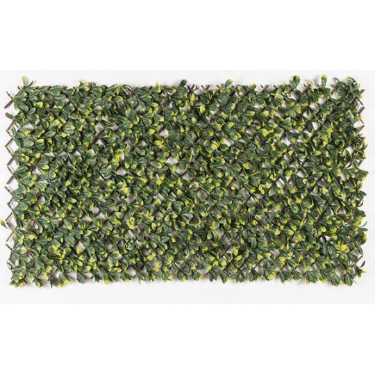 Πτυσσόμενη Πέργκολα MIAMI 100 Χ 200 MZ186006A NewPlan