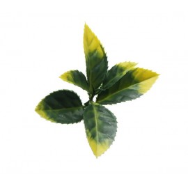 Πάνελ Φυλλωσιας BERLIN 50 Χ 50 A017 PHOTINIA NewPlan