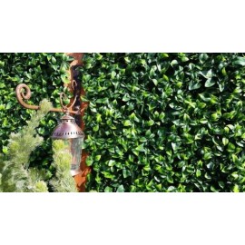 Πάνελ Φυλλωσιας BERLIN 50 Χ 50 A017 PHOTINIA NewPlan