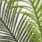 PALM TREE NP0266_140 ΥΨΟΣ 140cm NewPlan