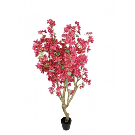 BOUGAINVILLEA NP0422_170 ΥΨΟΣ 170cm NewPlan