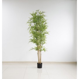 BAMBOO NP6321_180_22 ΥΨΟΣ 180cm NewPlan