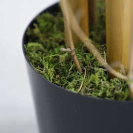 BAMBOO NP0075_180 ΥΨΟΣ 180cm NewPlan