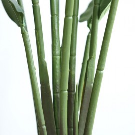 BANANA TREE NP1411_160 ΥΨΟΣ 160cm NewPlan