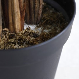 PALM TREE NP5502_180_22  ΥΨΟΣ 180cm NewPlan