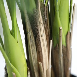 PALM TREE NP5502_180_22  ΥΨΟΣ 180cm NewPlan