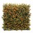 Πάνελ Φυλλωσιας BERLIN 50 Χ 50 A012 BUXUS NewPlan
