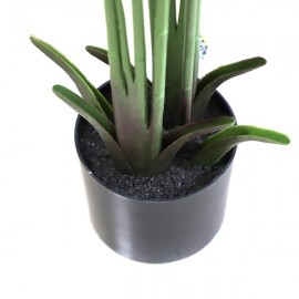 BANANA TREE NP1410_120 ΥΨΟΣ 120cm NewPlan