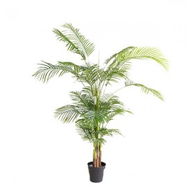 PALM TREE NP5502_180_22  ΥΨΟΣ 180cm NewPlan