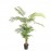 PALM TREE NP5502_180_22  ΥΨΟΣ 180cm NewPlan