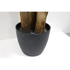 BANANA TREE NP6327_180_22 ΥΨΟΣ 180cm NewPlan