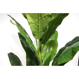 BANANA TREE NP6327_180_22 ΥΨΟΣ 180cm NewPlan