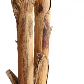 BANANA TREE NP707_240 ΥΨΟΣ 240cm NewPlan