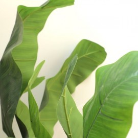 BANANA TREE NP707_240 ΥΨΟΣ 240cm NewPlan