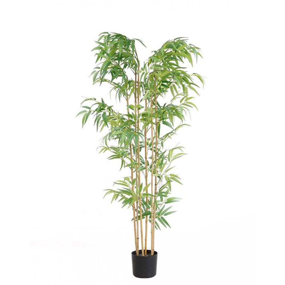 BAMBOO NP5801_150_22_UV  ΥΨΟΣ 150cm NewPlan