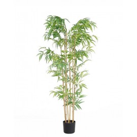 BAMBOO NP5801_150_22_UV  ΥΨΟΣ 150cm NewPlan