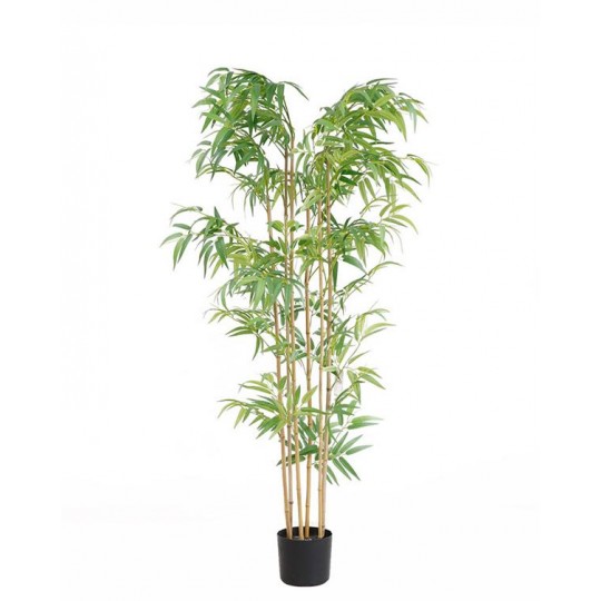 BAMBOO NP5801_150_22_UV  ΥΨΟΣ 150cm NewPlan