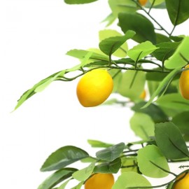 LEMON TREE NP_30_170 ΥΨΟΣ 170cm NewPlan