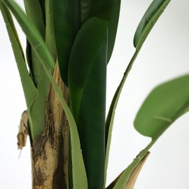 BANANA TREE NP702_145 ΥΨΟΣ 145cm NewPlan