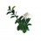Πάνελ Φυλλωσιας PORTO 50 Χ 50 A040 GENTLE JUNGLE NewPlan