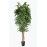 FICUS TREE NP230_210_UV ΥΨΟΣ 210cm NewPlan