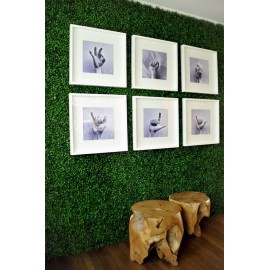 Πάνελ Φυλλωσιας BERLIN 50 Χ 50 A146 BOXWOOD NewPlan
