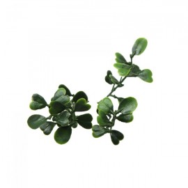 Πάνελ Φυλλωσιας BERLIN 50 Χ 50 A146 BOXWOOD NewPlan