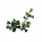 Πάνελ Φυλλωσιας BERLIN 50 Χ 50 A146 BOXWOOD NewPlan
