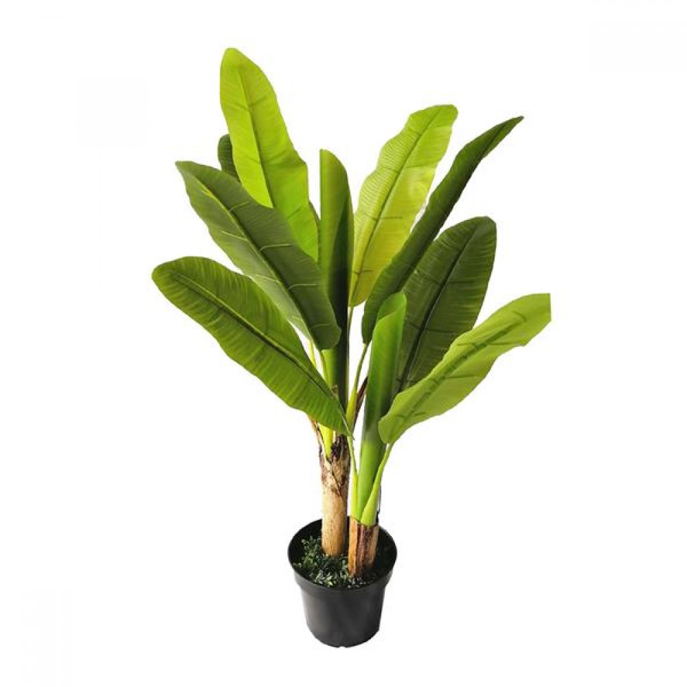 BANANA TREE NP014_120_22 ΥΨΟΣ 120cm NewPlan