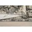 Χαλί TORONTO 19838/695 ΣΤΟΚ Π.Χ. - 160X230 NewPlan