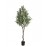OLIVE TREE NP410_180 ΥΨΟΣ 180cm NewPlan