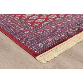 Χαλί SONIA 248/301220 - 160X230 NewPlan Χαλί SONIA 248/301220 - 160X230 NewPlan