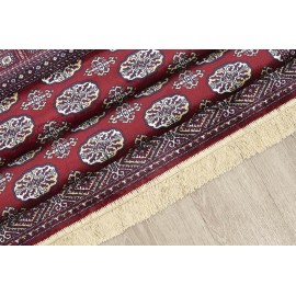 Χαλί SONIA 248/301220 - 160X230 NewPlan Χαλί SONIA 248/301220 - 160X230 NewPlan