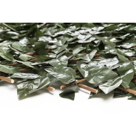 Πτυσσόμενη Πέργκολα ORLANDO 100 Χ 200 MZ186001Α NewPlan