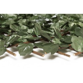 Πτυσσόμενη Πέργκολα ORLANDO 100 Χ 200 MZ186002B NewPlan