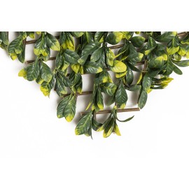 Πτυσσόμενη Πέργκολα MIAMI 100 Χ 200 MZ186006A NewPlan