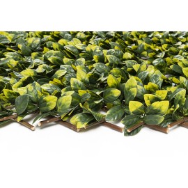 Πτυσσόμενη Πέργκολα MIAMI 100 Χ 200 MZ186006A NewPlan