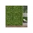 Πάνελ Φυλλωσιας BERLIN 50 Χ 50 A003 BUXUS NewPlan