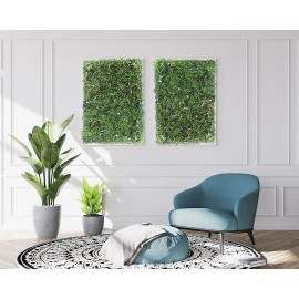 Κάθετος Κήπος AMSTERDAM 100 Χ 100 A107 DESERT OASIS NewPlan