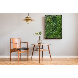 Κάθετος Κήπος AMSTERDAM 100 Χ 100 A110 BEAUTY SECRET NewPlan