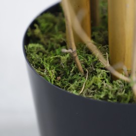 BAMBOO NP0076_210 ΥΨΟΣ 210cm NewPlan