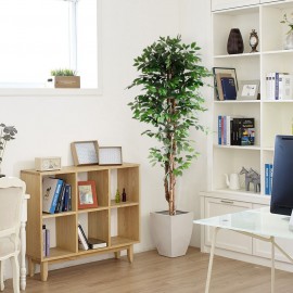 FICUS TREE NP0081_210  ΥΨΟΣ 210cm NewPlan