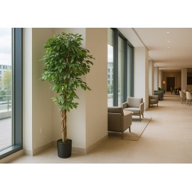 FICUS TREE NP0081_210  ΥΨΟΣ 210cm NewPlan