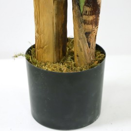 BANANA TREE NP014_120_22 ΥΨΟΣ 120cm NewPlan